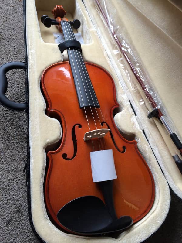 Adagio EM-50-1/4 Spruce Top Rosewood Fingerboard 1/4 Size Violin Outfit w/Lightweight Case & Bow image 1