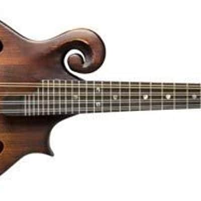 Immagine Washburn, 8-String Mandolin (M108SWK-D) - 2