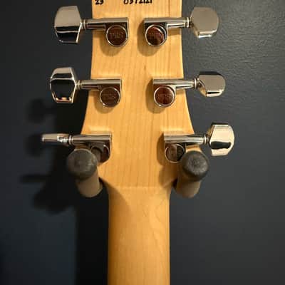 PRS Special Run CE 24 2024 - Tortoise Shell image 7