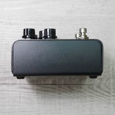 Strymon IRIDIUM image 4