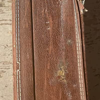 Hagstrom Hardshell case 70s image 6