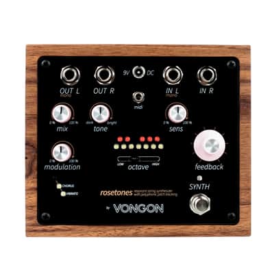 Vongon Rosetones Polyphonic Resonant String Synthesizer image 3