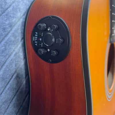 Fesley FDET280C 12 String SkunkWerx Stage Ready IN USA SETUP String Joy 2025 - Natural image 9
