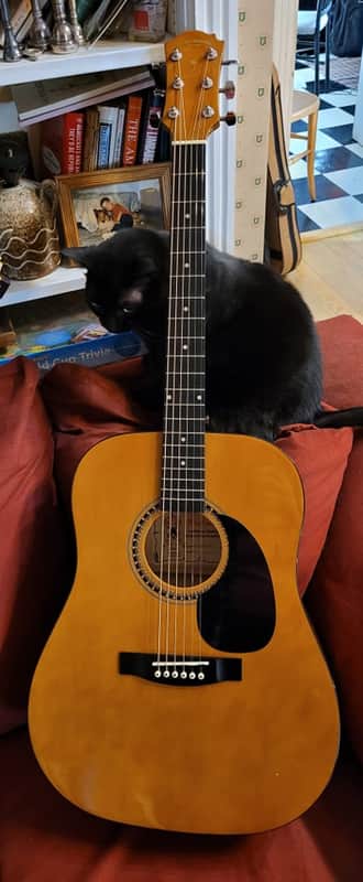 Palmer PD206 LB Dreadnought Acoustic Guitar image 1