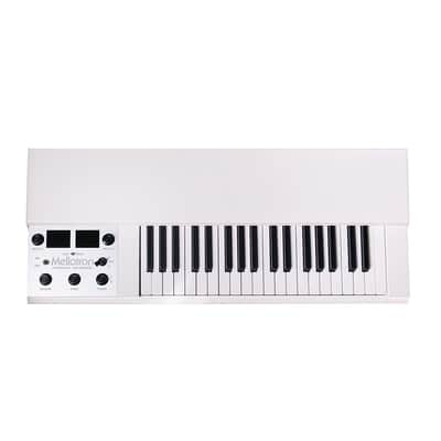 Mellotron M4000D Mini Compact Digital Mellotron-Style Keyboard - White image 2