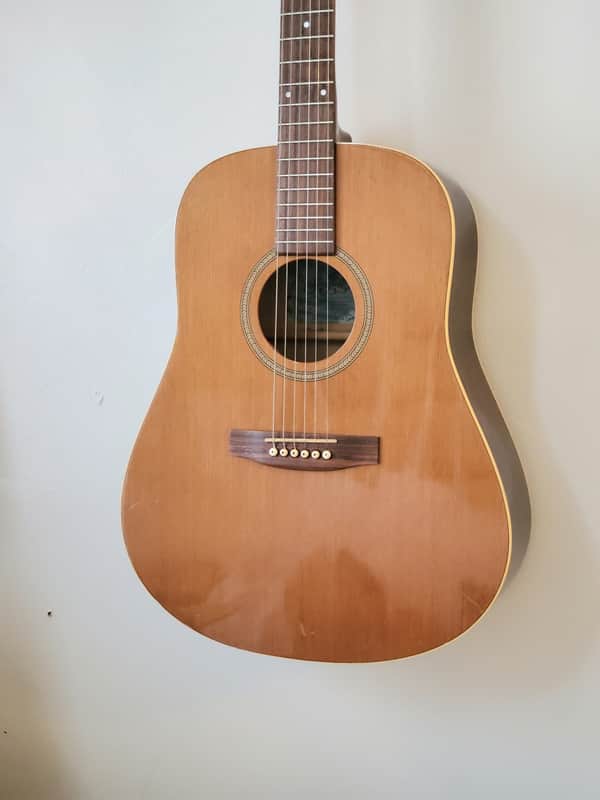 Seagull Godin 20th Anniversary Dreadnought Acoustic Guitar w/ Chainsaw Foam Fort Case image 1
