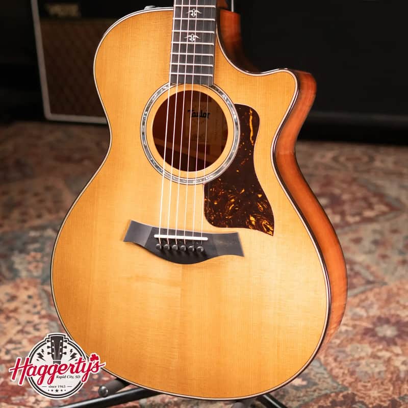 Taylor 512ce Grand Concert Acoustic/Electric Guitar with Hardshell Case image 1