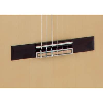 Raimundo 630E Electro Classical Guitar image 4