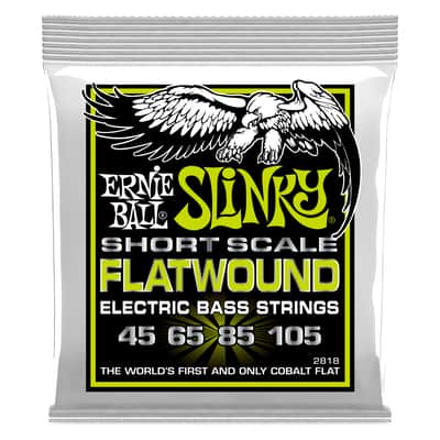Ernie Ball Ernie Ball 2818 Regular Slinky Flatwound Electric Bass Guitar Strings – .045-.105 Short Scale image 1
