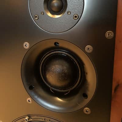 ATC SCM50 ASL Powered Studio Speakers in Rare Finish image 4
