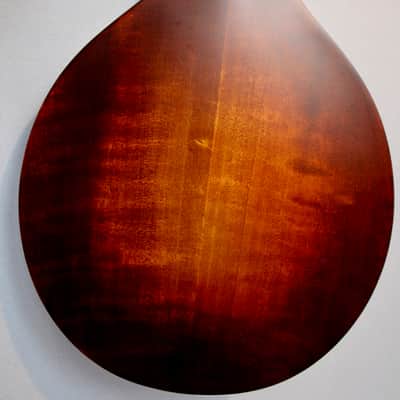 Eastman MD 304 image 4