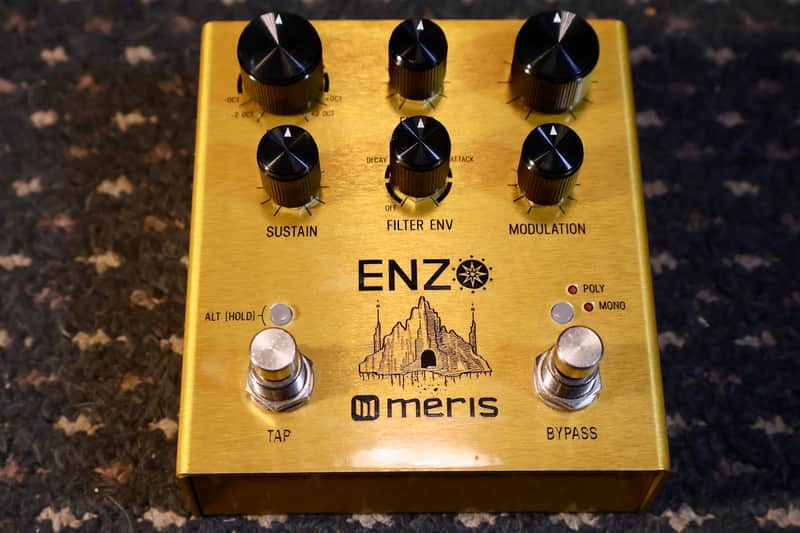 Meris Enzo 2018 - Gold image 1