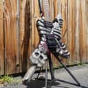 ESP Custom Shop Anchang Star Skull - 20th Anniversary Hand Carved Sex Machineguns - w/ Case