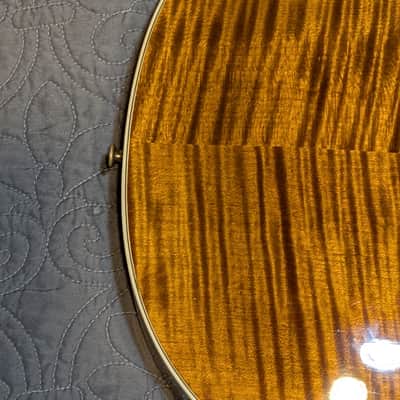 Gibson Les Paul Supreme 2003 - 2013 - Root Beer image 16