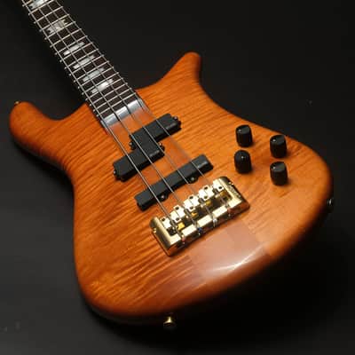 Spector Euro 4 Doug Wimbish 2025 - Amber Gloss image 2