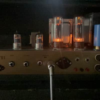 Fortin Amplification Meshuggah - 2018 image 10