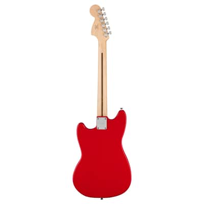 Squier Sonic Mustang - Torino Red with Maple Fingerboard & White Pickguard image 4