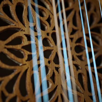 Renaissance Cittern image 6