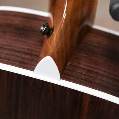 Taylor Legacy 815e Jumbo Acoustic/Electric Guitar with Hardshell Case - Demo image 12