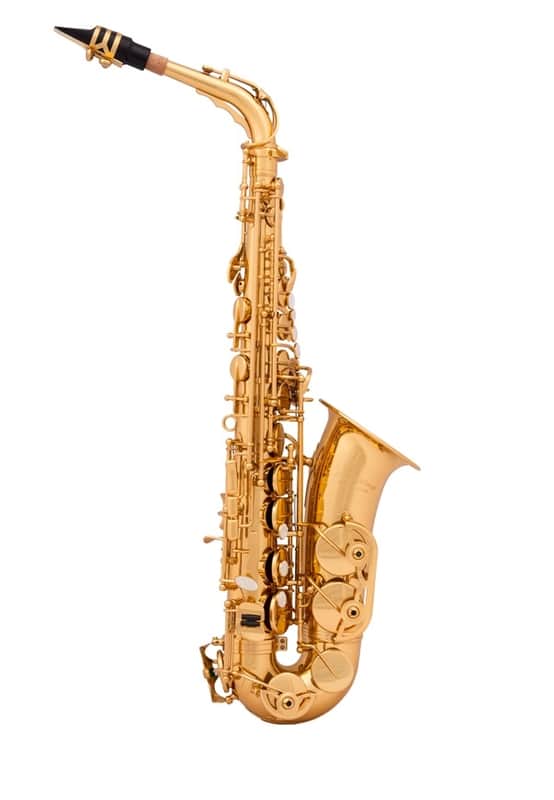 aS Arnolds & Sons AAS-110 Alt Saxophon image 1