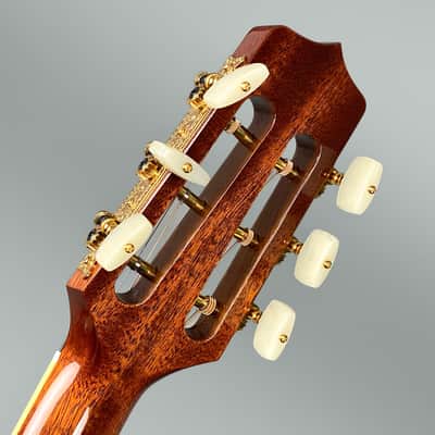 Takamine CRN-TS1 2023 - Natural image 10