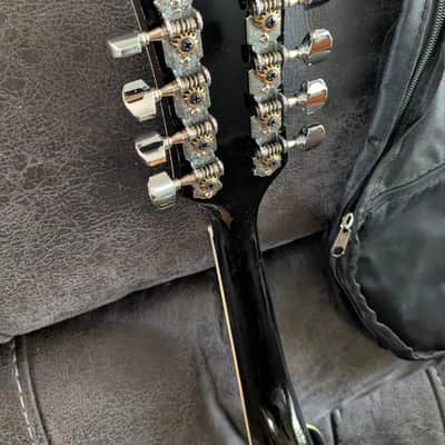 Rover A Style Mandolin w/ New Gig Bag image 4
