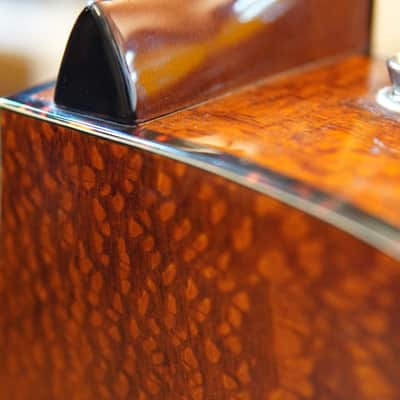Fender FA-345CE Auditorium Acoustic-Electric Guitar 2017 3-Color Tea Burst w/Hard Case image 13