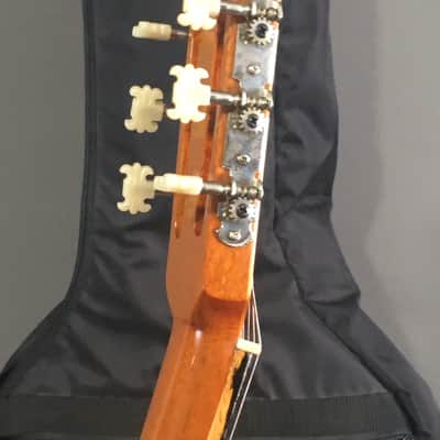 Vintage Jose Luis Velazquez Classical Nylon String Spanish Guitar Made in Mexico Solid Woods Original Case image 6