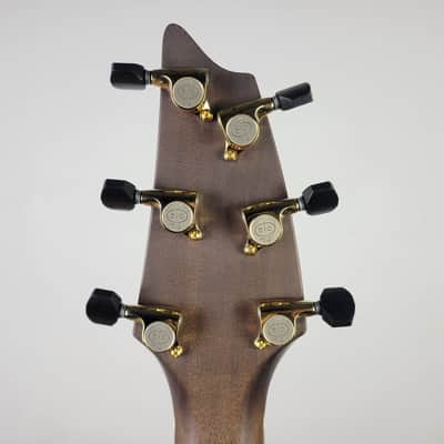 Breedlove Premier Companion E Brazilian LTD USA made With OHSC Free Shipping image 4