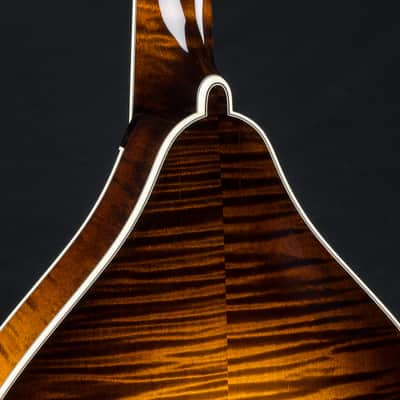 Collings MT2 Mandola Sunburst Adirondack Spruce and Flamed Maple NEW image 17