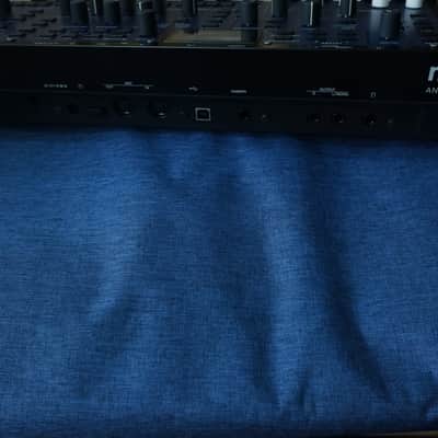 Korg Multi/Poly 37-Key Analog Modeling Synthesizer 2024 - Present - Black & Blue with Wood Sides image 4