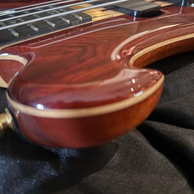 Alembic Dragon Wing 2018 - with fretboard LEDs! image 8