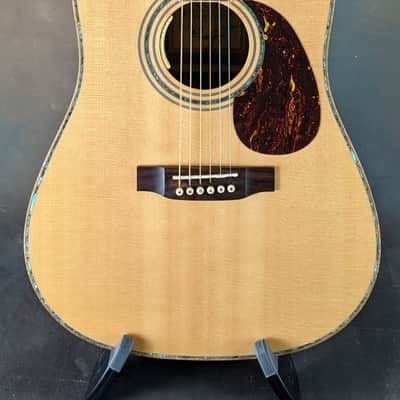 Used Zager ZAD900 Acoustic Guitar w/ L.R. Baggs Anthem image 1