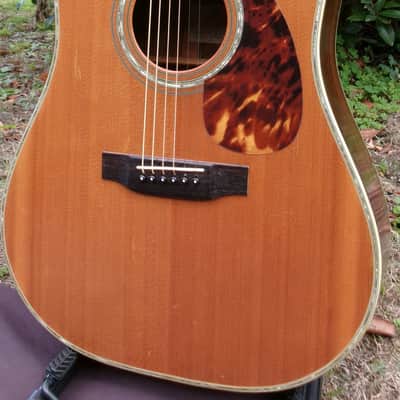 1981 Yairi D 35 YW-500P - Natural+Hard Case image 2