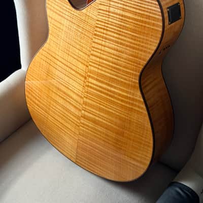 Paul McGill Super Ace Nylon Crossover Classical RMC image 17