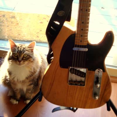 1952 Fender Telecaster - Tadeo Gomez - with Thermometer Case image 1