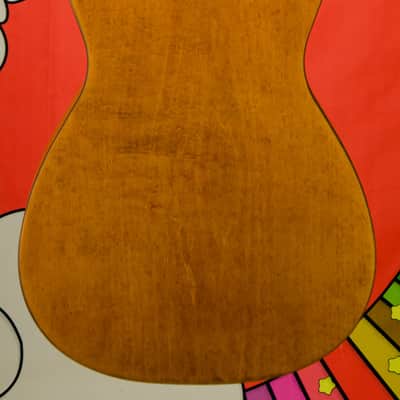Epiphone Dobro Hound Dog Round Neck Resonator Guitar image 5