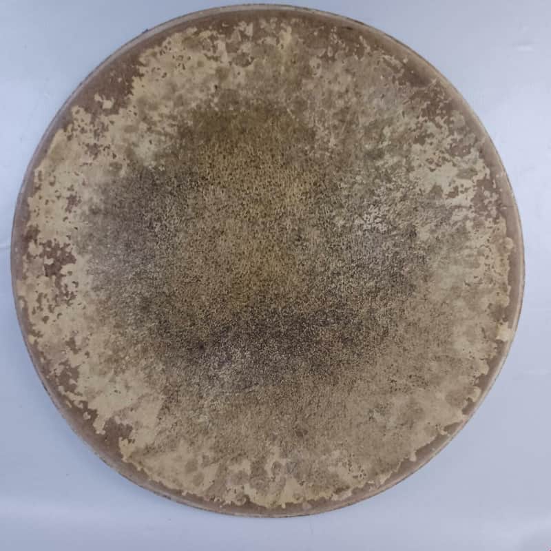 Leedy/Ludwig 14"Pig/Calf Skin Snare Drum Batter Head Vintage 20s USA Tom Pigskin image 1