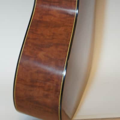 Darren Hippner #17 Ltd Dreadnought/ Bluegrass-Adirondack Spruce top/ Tasmania Jarrah image 20