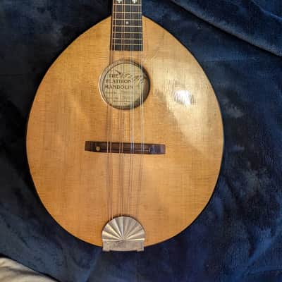 Suzuki MC-836 Mandocello / Mandoloncello | Reverb