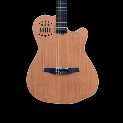 Godin Godin ACS-SA Slim Nylon image 1