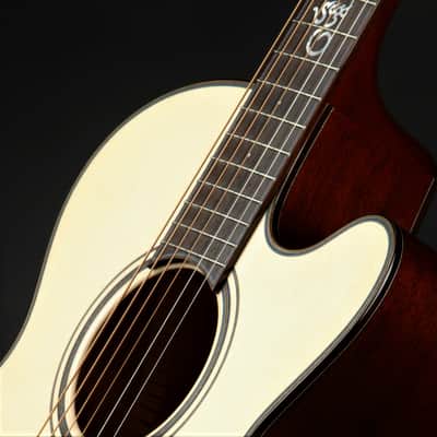ON HOLD - Santa Cruz FS (Fingerstyle) MC Custom image 20