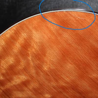2022 Breedlove - Premier Concert CE Limited Edition - Natural High Gloss image 5