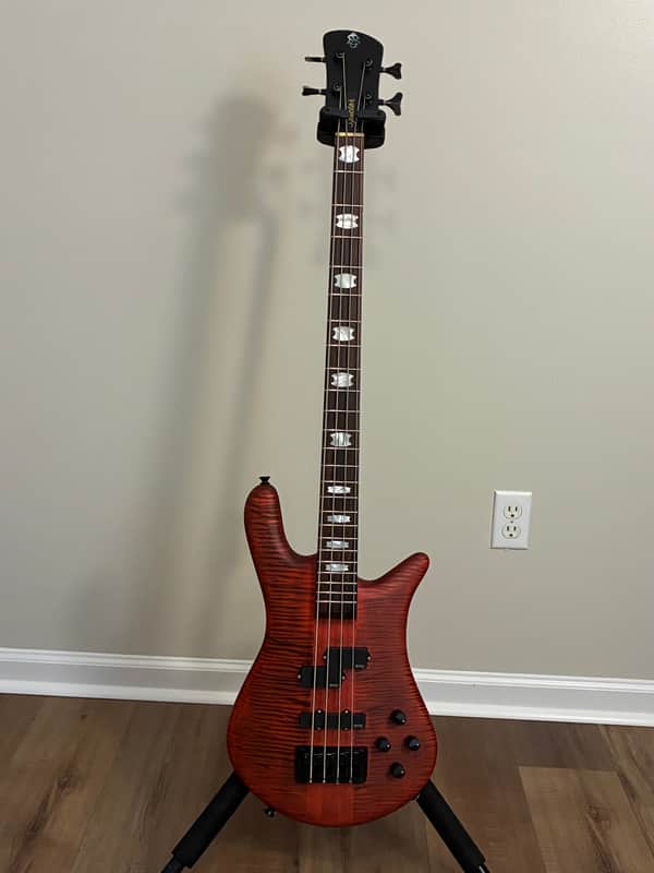 Spector Euro 4 LX 2020 - Present - Trans Black Stain Matte image 1