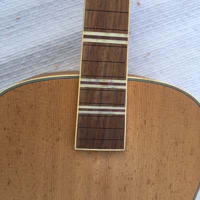 Spruce Top Resonator Guitar DIY Project, Rosewood Fretboard Neck image 6