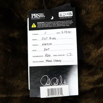 PRS Wood Library DGT Electric Guitar with Bird Inlays - Copperhead with Natural Back image 12