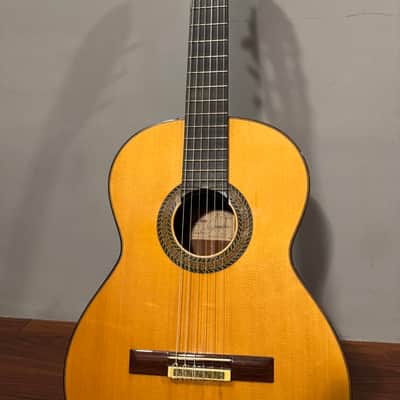 Antonio Picado 62 2011 image 2