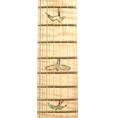 PRS Wood Library DGT Electric Guitar with Bird Inlays - Jade image 14