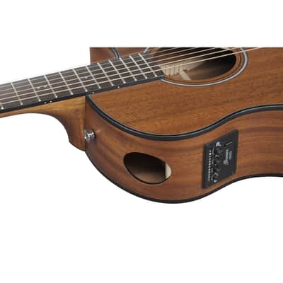 Ibanez AAM54CE-OPN - Acoustic Guitar image 10