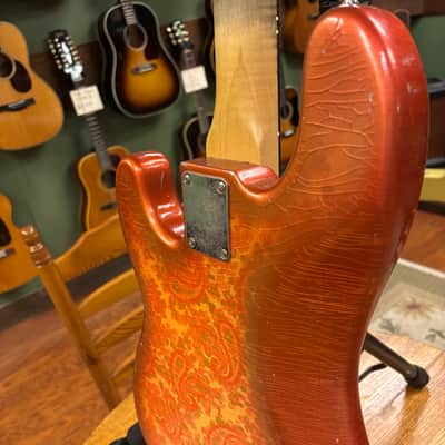 Berly Guitars P Style Bass Pink Paisley Authorized Dealer image 15